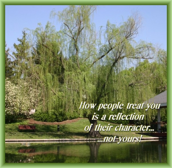 Tree Reflected in Lake at KFC in Louisville, KY