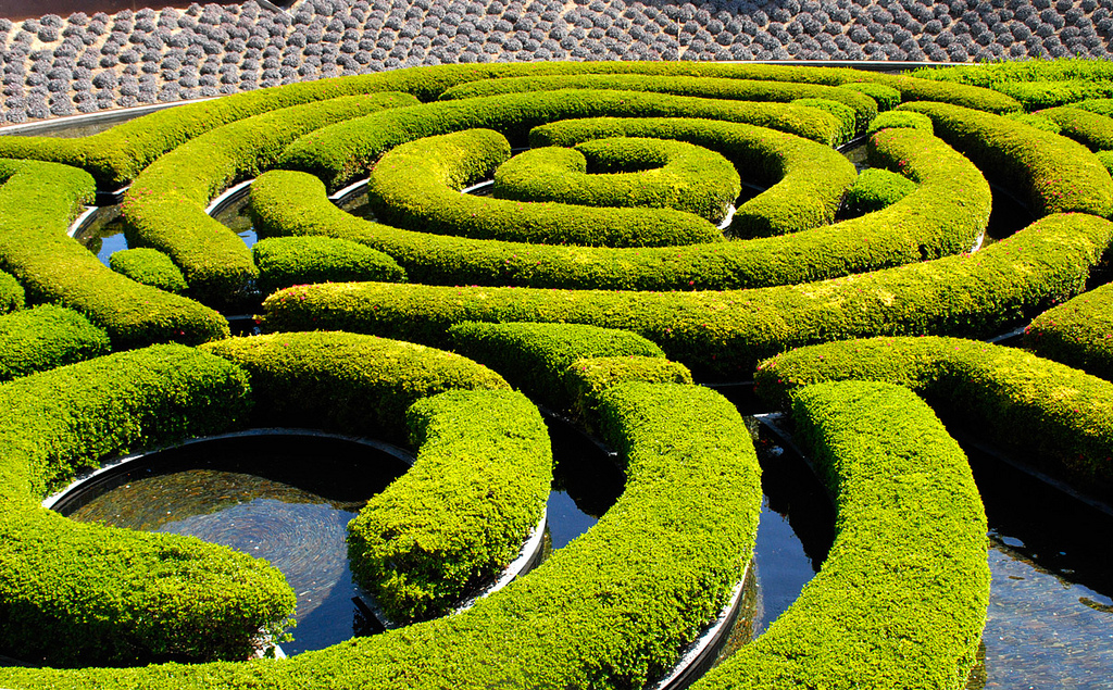 Maze of Bushes by Daniel Kuperman