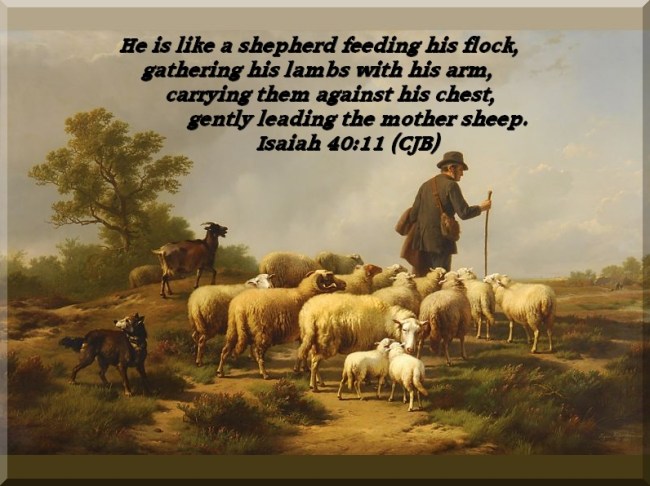 Shepherd with Flock by Flickr User Will Humes CC License = Attribution, NonCommercial, Share Alike