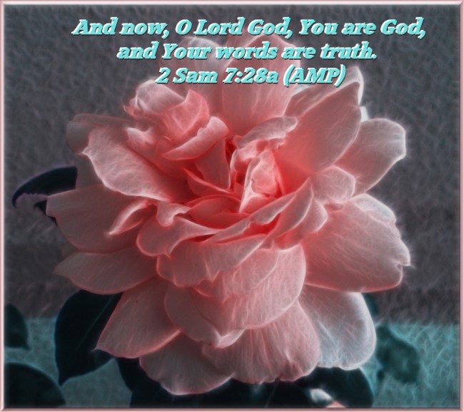 2 Samuel 7:28 Text on Pink Fractalius Rose by Crystal A Murray Pink Fractalius Rose with Text, (C) All Rights Reserved, Crystal A Murray