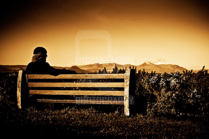 Isolation by Flickr User digitalmindphotography (David Smith), CC License = Attribution