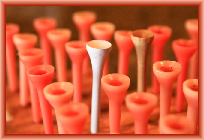 Stand Out from the Crowd by Flickr User Steven Depolo, CC License = Attribution