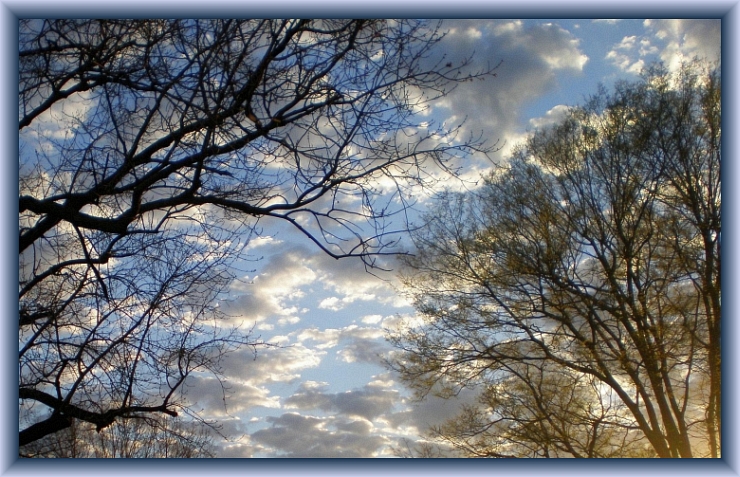 Clouds & Trees at Sunset Behind Work in Louisville Kentucky in April 2008 By Crystal A Murray, CC License Attribution, Noncommercial, Share Alike