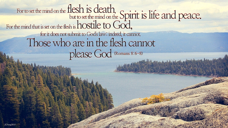 Are You in The Spirit or In The Flesh? by Flickr User BeggartoBeggar, CC License = Attribution, No Derivative Works