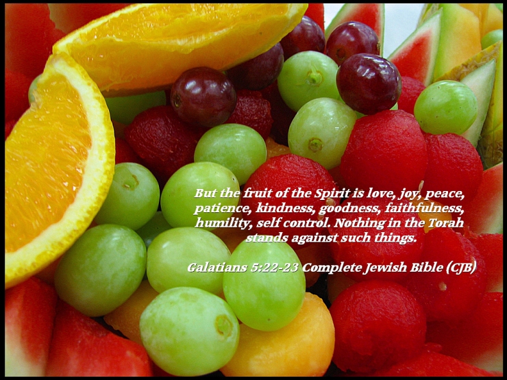 Fruit Mix by Flickr User Graela, CC License = Attribution, Noncommercial, Share Alike