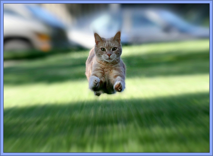 It's a Bird ... It's a Plane ... It's Super Jimmy!!! by Flickr User Kerri Lee Smith, CC License = Attribution, Noncommercial, Share Alike