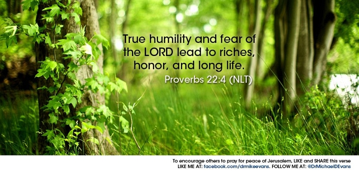 Proverbs 22:4 by Flickr User Dr. Michael D Evans, CC License = Attribution, Noncommercial, No Derivative Works
