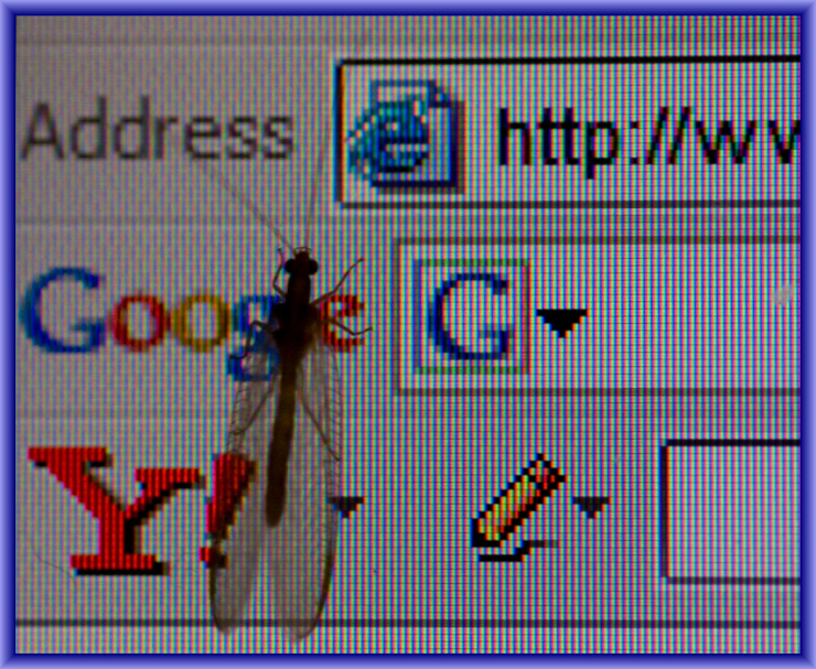 Searching by Flickr User Paul Bence, CC License = Attribution, Noncommercial