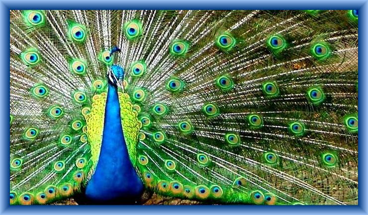 Infinite Supply Image for November Tenth by The School of Christ