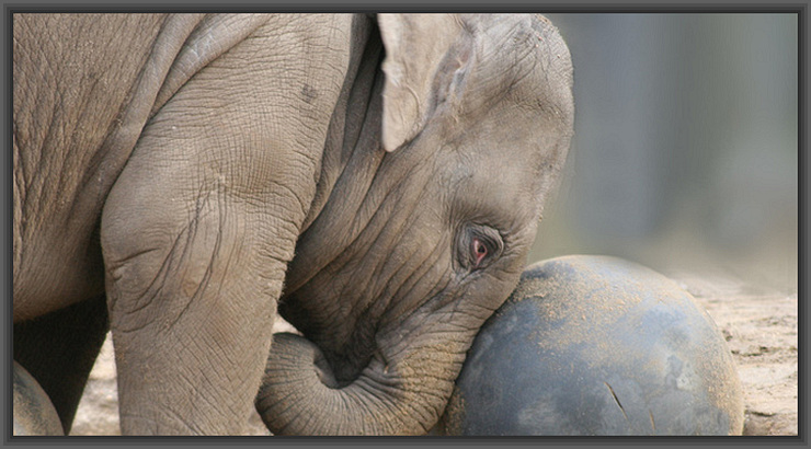 Infinite Supply Image for November Twenty-First by The School of Christ