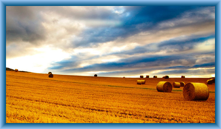 Infinite Supply Image for November Twenty-Ninth by The School of Christ