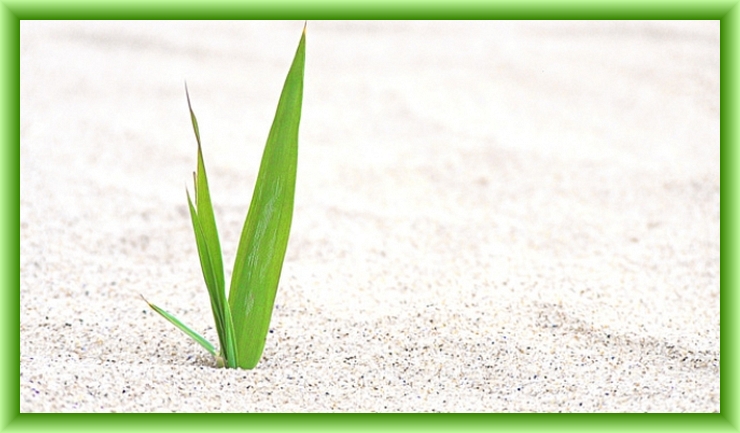 Infinite Supply Image for November Twenty-Third by Chip Brogden