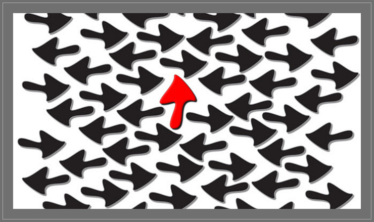 Infinite Supply Image for November Fifth