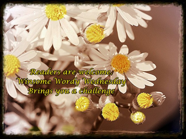 Color Splash Daisies with Haiku