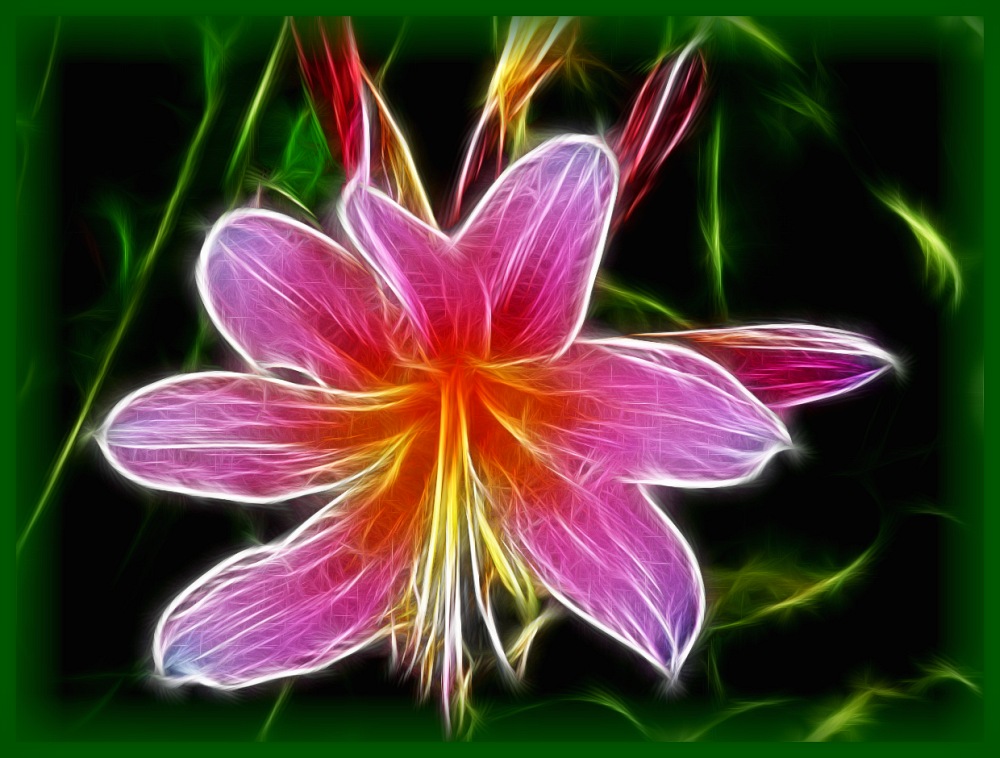 Fractalius Naked Lady--Sm 4 WP