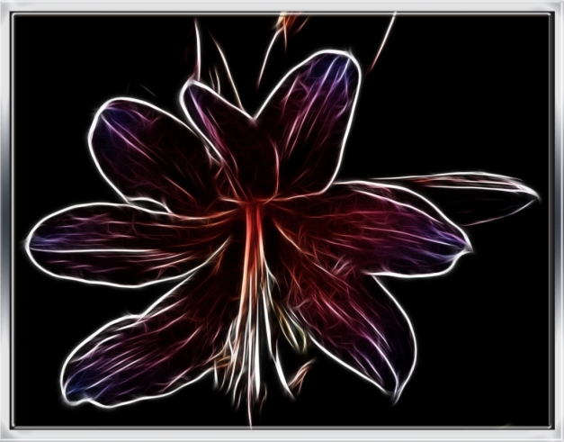 Naked Lady Flower with Macro Attachment--Fractalius Edit and Frame--4 WP2