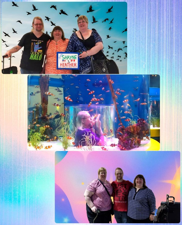 A collage with 3 photos from the first time I met my brother, the son of my father. The first image has the 3 of us on the day he and his wife arrived from Canada and holding the glittery welcome sign my husband made for them. The background is one of seabirds instead of the boring airport scene. The second image has my brother in the part of the big aquarium where you can stand in the middle of one fishtank with the fish swimming around you but you get to stay dry. My brother is inside there acting like a fish. In the last photo, the 3 of us are back at the airport where we must say goodbye. I changed that background to a splash of a shiny gradient.