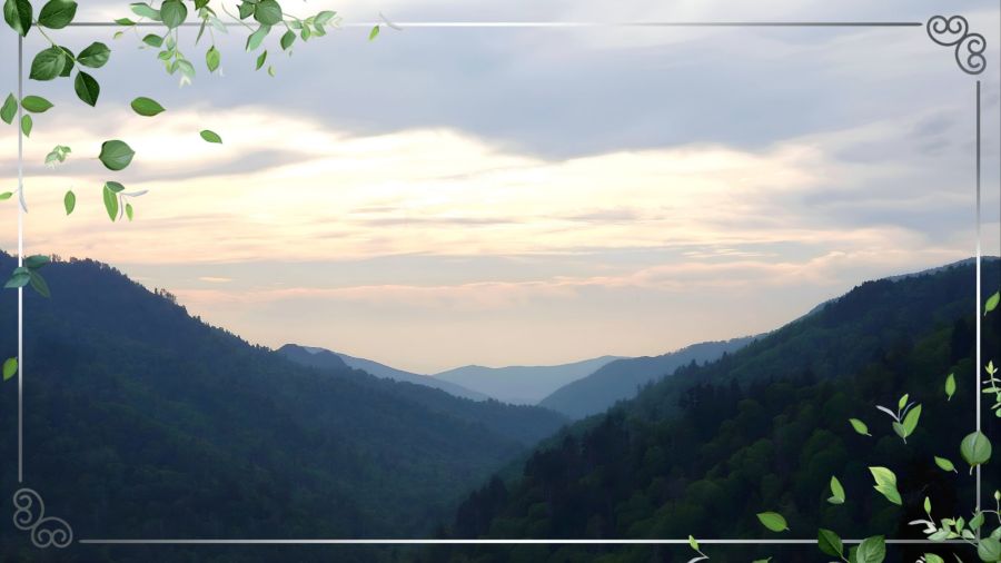 A scenic overlook of the Great Smoky Mountains showing overlapping layers of green hillsides that fade into a thick, misty blue haze in the distance. The foreground shows crisp, clear treetops. The image is styled with a thin white border and decorative leaf clusters in opposite corners.