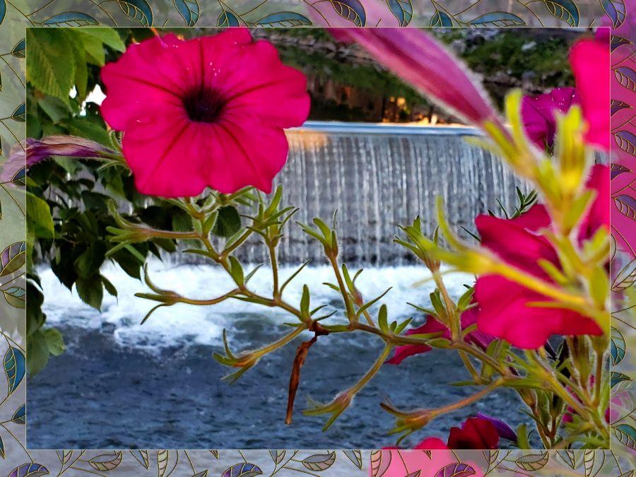 A close-up, creative composition looking through a leafy vine of vibrant, deep reddish-pink trumpet-shaped flowers to frame a powerful, heavy-flowing waterfall. The waterfall is captured with a fast shutter speed, showing the raw energy of the water pounding directly into the river below, with no surrounding sky or buildings visible. The entire image is enclosed in a digital glass border featuring decorative stained-glass leaves with elegant gold outlines and veins.