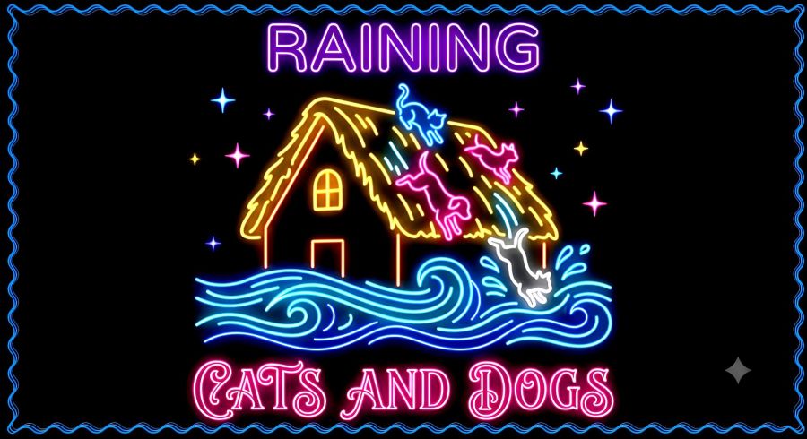 Neon digital illustration against a solid black, sparkling background, featuring the word 'RAINING' in glowing purple block capitals at the top. The central illustration, in multi-colored neon tubes, shows stylized cats and dogs sliding off a yellow/orange thatched roof outline into turbulent blue floodwaters. Along the bottom, the words 'CATS AND DOGS' flow in detailed, ornate pink neon script.