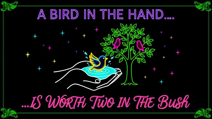 Minimalist neon sign on a black background featuring glowing white cupped hands holding a pool of cyan water where a yellow-and-blue songbird splashes. Next to the hands, a green neon tree holds two glowing pink birds. Purple neon block letters at the top read "A BIRD IN THE HAND...." and pink neon cursive script at the bottom reads "...IS WORTH TWO IN THE BUSH". The image is framed by a thin green neon border with decorative green flourishes in all four corners.